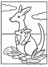 Kangaroo Coloring Pages 2025 sketch template
