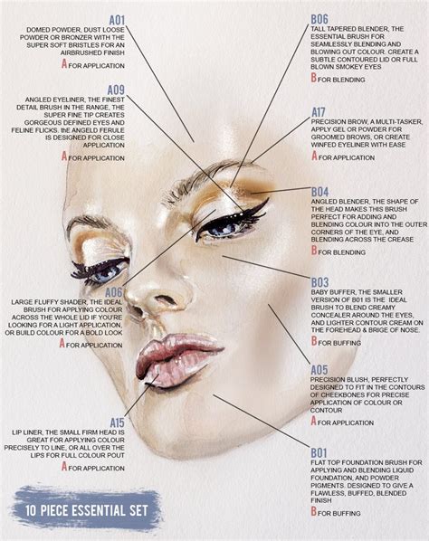 How To Put Makeup On Face Chart - Makeup Vidalondon