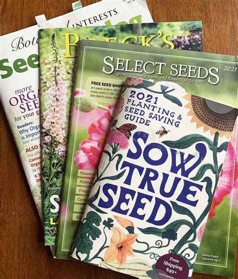 Seed Catalogs 2024 - Barbey Sherri