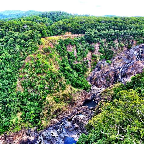 Atherton Tablelands Walking Trails - Explore this stunning region