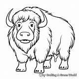 Musk Ox Coloring Pages  Free & Printable sketch template