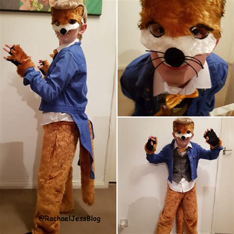 Fantastic Mr Fox Costume