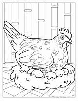 Chicken Egg Coloring Page sketch template