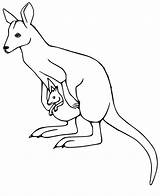 Jumping Wallaby Coloring Page  Free Printable Pages For Kids sketch template