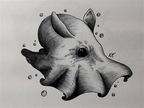 Dumbo Octopus ink 5.5"x8.5" | Dumbo octopus, Octopus sketch, Octopus art