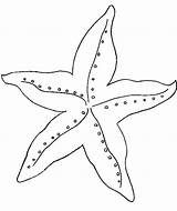 Printable Starfish Coloring Page sketch template
