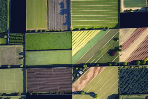 Aerial View of Diverse Field Crops AI Generated 29994891 Stock Photo at Vecteezy