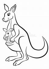 Kangaroo With Baby Illustration sketch template