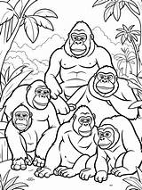 20  Free Printable Gorilla Coloring Pages For Kids sketch template