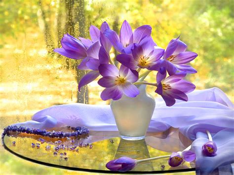 beautiful, Flowers, Autumn, Tender, View, Delicate, Harmony, Vase, Nature, Bouquet, Still, Life ...