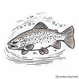 Trout Coloring Pages  Free & Printable sketch template