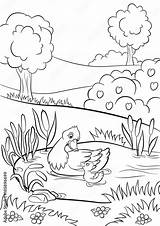 Duck Pond Coloring Page sketch template