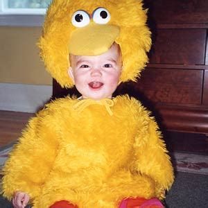 Big Bird Costumes (for Men, Women, Kids) | PartiesCostume.com