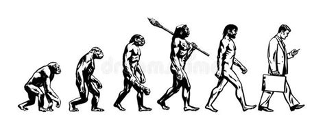 Theory of evolution of man. Human development. From monkey to modern ...