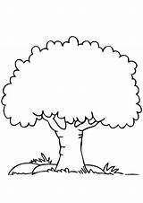 Coloring Page Of Tree sketch template