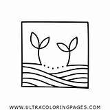 Little Sprouts Coloring Pages For Kids  Free sketch template