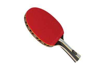 Top 10 Best Table Tennis Rackets in 2021 Reviews – AmaPerfect
