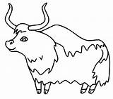 Yak Coloring Pages  Cool sketch template