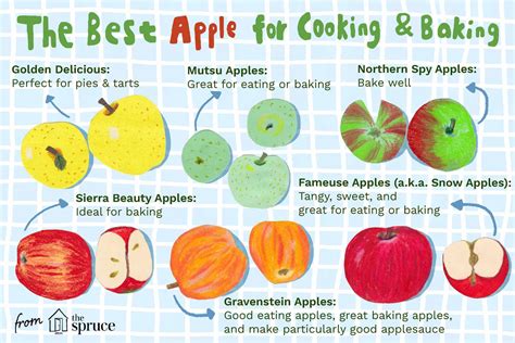 The Best Apple Varieties for Baking and Eating