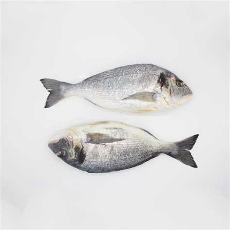 Buy farmed gilt-head bream (medium) - fresh fish delivery