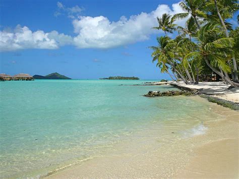 Bora Bora | Beautiful beaches, Bora bora, Beach