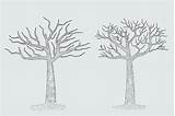 Leafless Tree Coloring Page sketch template