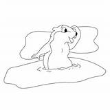 Groundhog Day Spring Coloring Page For Kids  Free sketch template