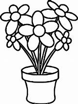 Plant Coloring Page sketch template