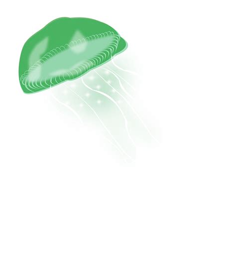 Jellyfish PNG Background Clip Art - PNG Play