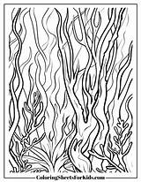 Kelp Coloring Pages sketch template