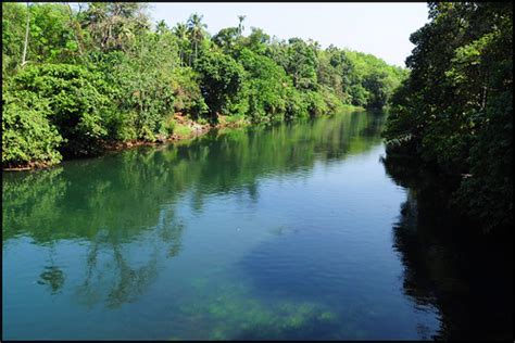 Thodupuzha-2 | Thodupuzha.Kottaym.Kerala | frankiranstein | Flickr