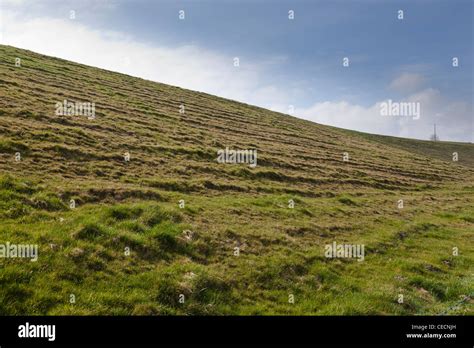 Possible example of solifluction (soil fluction), Dorset, England Stock Photo - Alamy