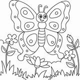 Butterfly Coloring Pages Free & coloring Book sketch template
