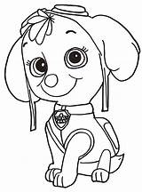 Desenhos De Zuma Patrulha Canina Para Colorir E Imprimir  sketch template