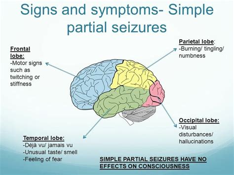 Pin on ⚕️Epilepsy⚕️