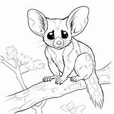 Premium Photo  Black And White coloring Picture Of A sugar glider sketch template
