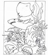 Pond Coloring Pages At GetColoringscom  Free Printable Colorings sketch template