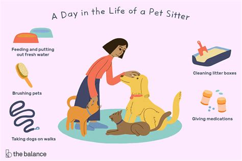 Pet Sitter Job Description: Salary, Skills, & More