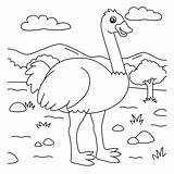 Ostrich Coloring Page For Kids 5073696 Vector Art At Vecteezy sketch template