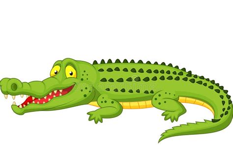 Crocodile Cartoon Stock Photography - Image: 34607912