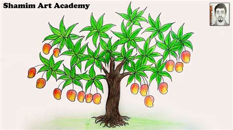 Mango Tree Drawing Easy Step By Step / Another easy step by step mango ...