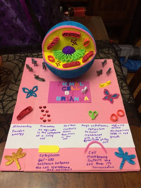 Animal Cell Project Ideas