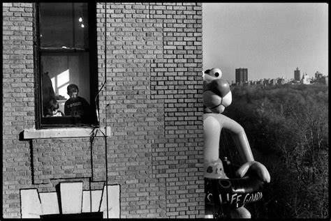 Photographer Spotlight: Elliott Erwitt - Adventures of Yoo