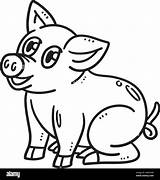 Baby Pig Isolated Coloring Page For Kids Stock Vector Image & Art  Alamy sketch template