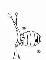 Honey bee coloring Pages For Kids / Toddlers Book By  sketch template