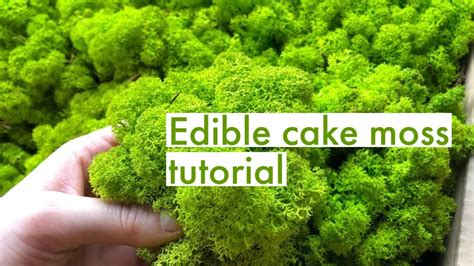 EDIBLE MOSS / EDIBLE GREENERY FOR CAKES TUTORIAL - YouTube