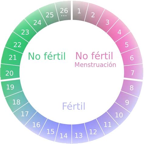 Ciclo menstrual: Fases del ciclo menstrual y días fértiles