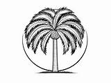 Easy Breezy Palm Tree Coloring  Page sketch template