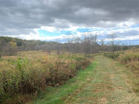 Fox Meadow Trail - Maryland | AllTrails