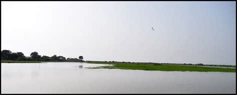 Kolleru Lake Bird Sanctuary,Andhra Pradesh,India | Travel life journeys